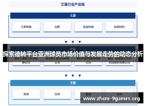 探索德转平台亚洲球员市场价值与发展走势的动态分析 探索德转平台亚洲球员市场价值与发展走势的动态分析