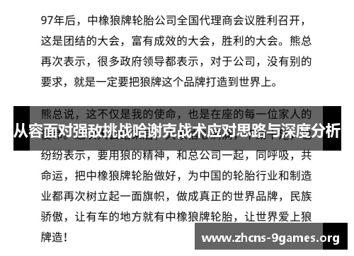 从容面对强敌挑战哈谢克战术应对思路与深度分析 从容面对强敌挑战哈谢克战术应对思路与深度分析