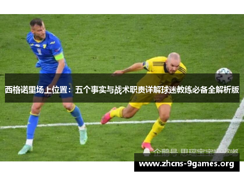 西格诺里场上位置：五个事实与战术职责详解球迷教练必备全解析版
